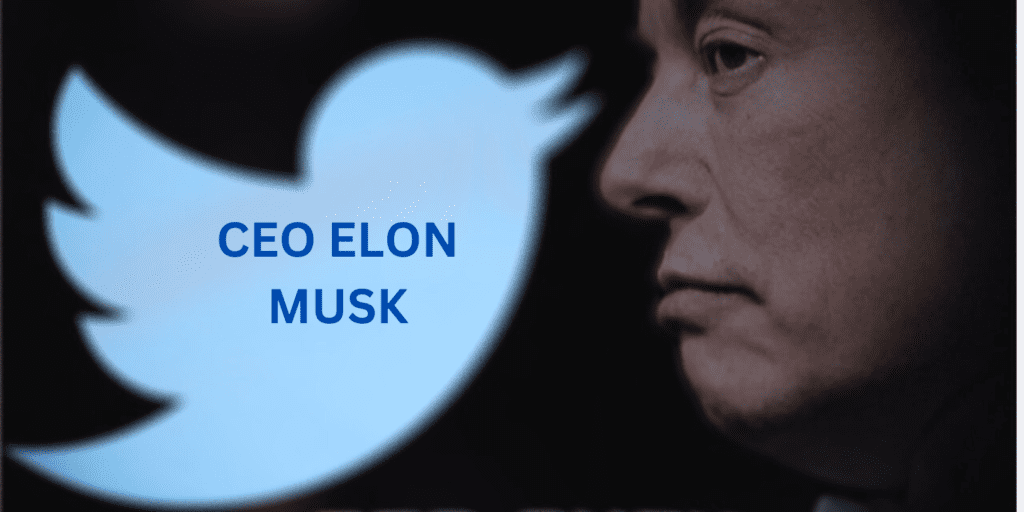 elon musk ceo